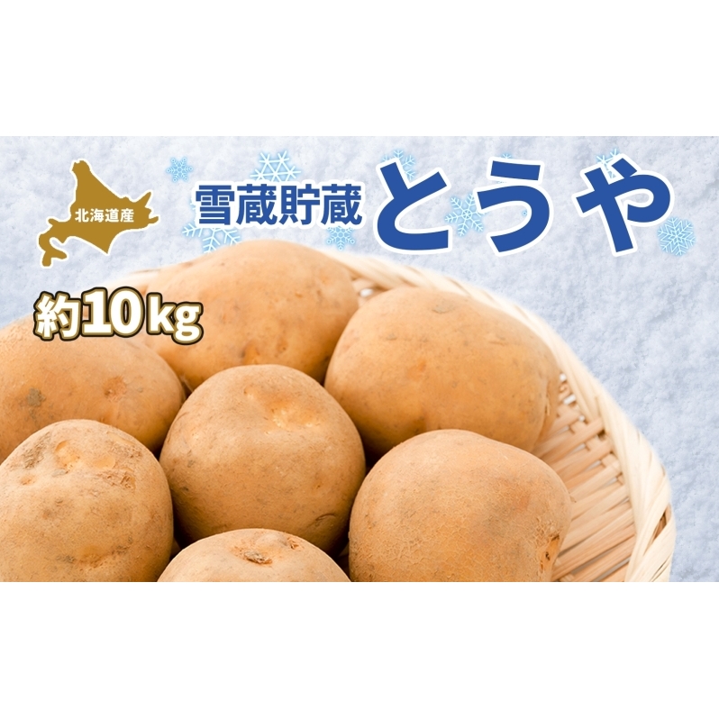 kC ᑠ Ƃ  L`LM 10kg 2026N2{菇͂ Ⴊ WKC Ⴊ n鏒   C { ᑠ  _앨 J[ V`[Ⴊ kCY ۓc_ k