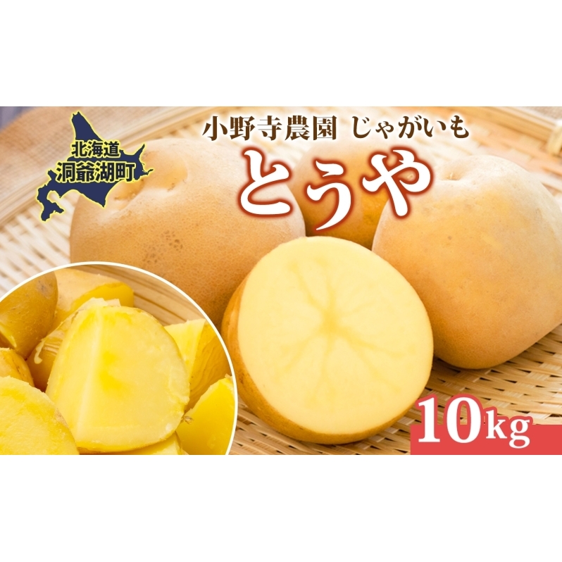 Ⴊ Ƃ 10kg 10{`12{남͂ zNzN Â |egT_ RbP Yn  Y 쎛_ kC ΒkCΒ12000؁ÊႪ