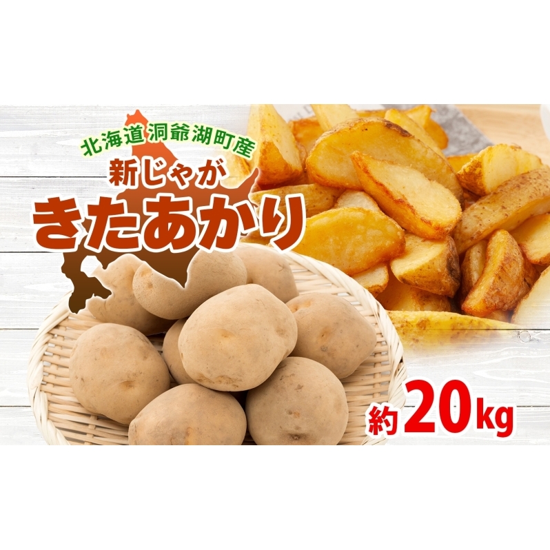 kC ΒY VႪ  20kg  MTCYȏ㍬ kCY VႪ Ⴊ  WKC n鏒   {  _앨  Yn 퉷 ΒkCΒ1