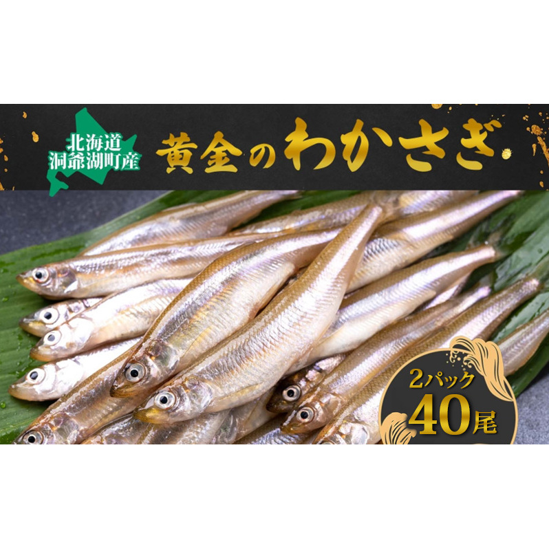 洞爺湖町産 黄金のわかさぎ 20尾×2P 計40尾 北海道産 ワカサギ わかさぎ 川魚 魚介類 産地直送 冷凍 お取り寄せ グルメ 料理 天ぷら フライ とうやマルシェ 北海道 洞爺湖町北海道洞爺湖町1000