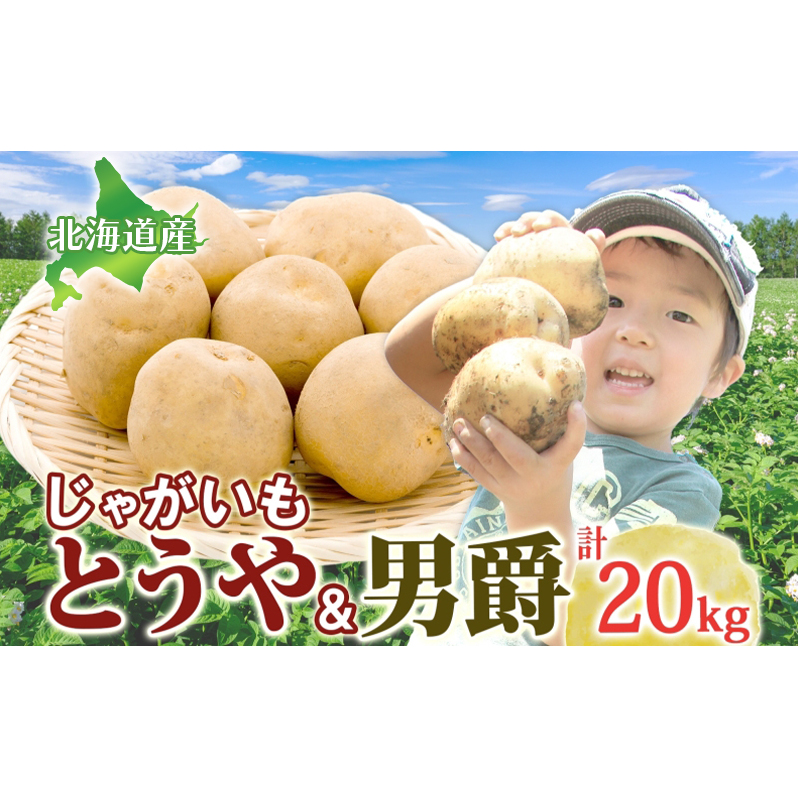 Ⴊ2Zbg v20kg Ƃ j 2025N9{`12{܂ł͂ WKC  Â zNzN |eg J[   ύݗ {   kC ΒkC