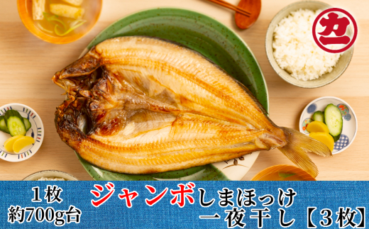 14-103 債܂ق銱3ZbgkCʎs14000ECY̑ ECY