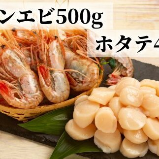28-48 Iz[cNYz^e(400g)ƂڂCV(500g)ZbgkCʎs28000ECYGr