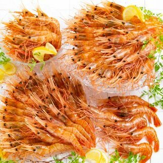 65-5 ǂǁ[ƂQkgڂ񂦂уZbgkCʎs65000ECYGr