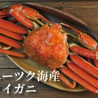 10-490 ボイルずわいがに姿3尾(計約1.1kg前後)北海道紋別市10000魚介・海産物カニ