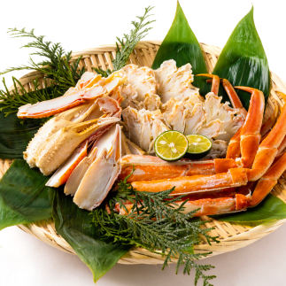 13-204 Iz[cNY{C킢ɂ̊IgZbgi1kgOjkCʎs13000ECYJj