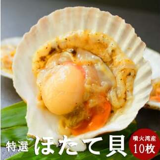 15-293 北海道産ホタテハーフシェル【BBQ用片殻付きほたて】北海道紋別市15000魚介・海産物貝類