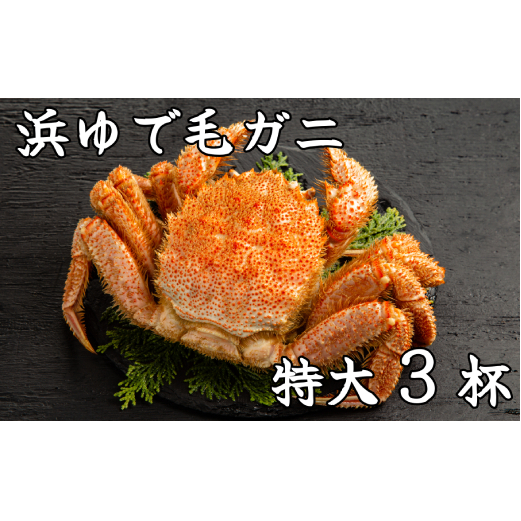 78-16 流氷明け浜ゆで毛ガニ 特大3杯北海道紋別市78000魚介・海産物カニ