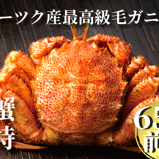 24-55 北海道産ボイル毛がに【四特】 大サイズ1尾入り(1尾約650g前後)北海道紋別市24000魚介・海産物カニ