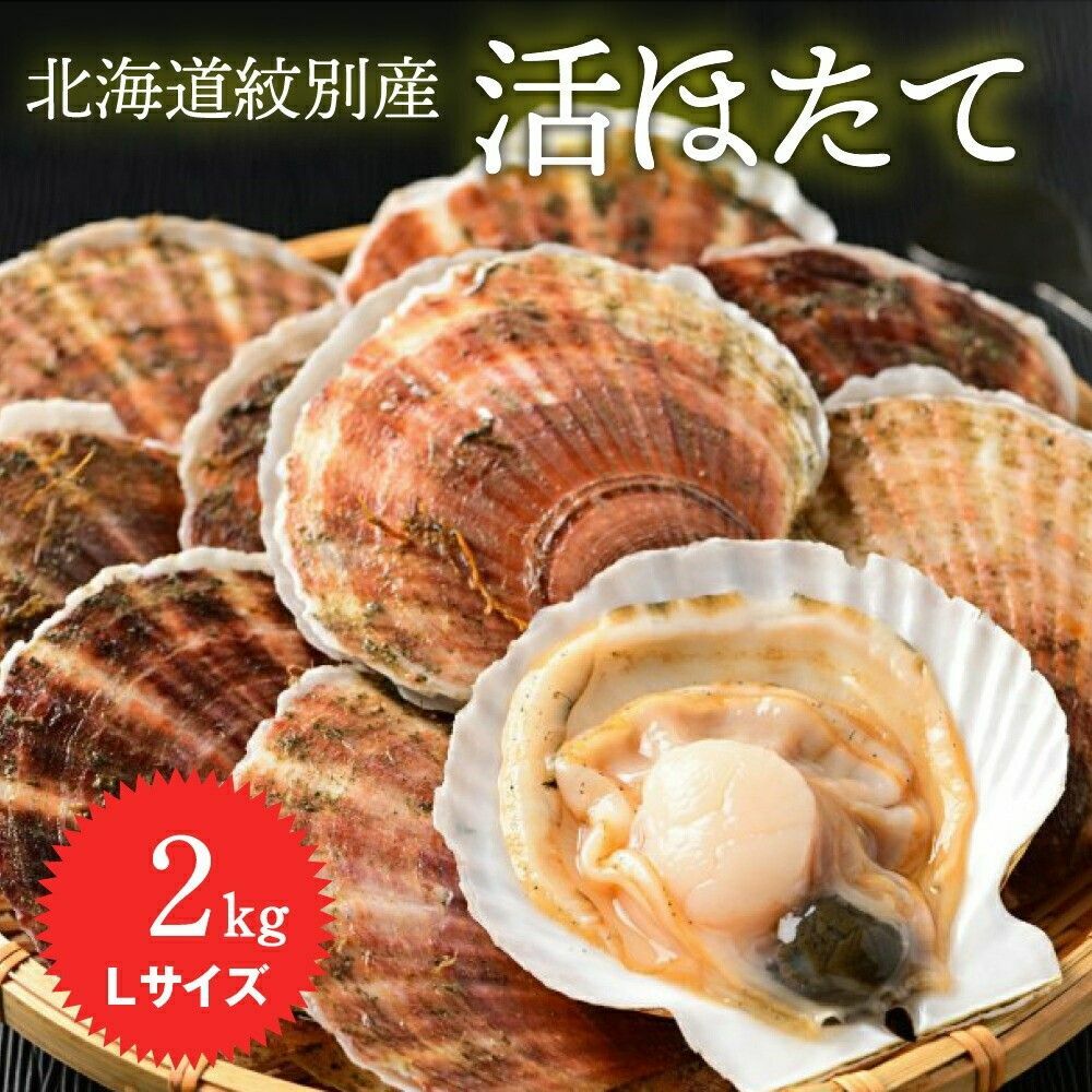 11-145 北海道紋別産 活ホタテ2kg(Lサイズ)北海道紋別市11000魚介・海産物貝類