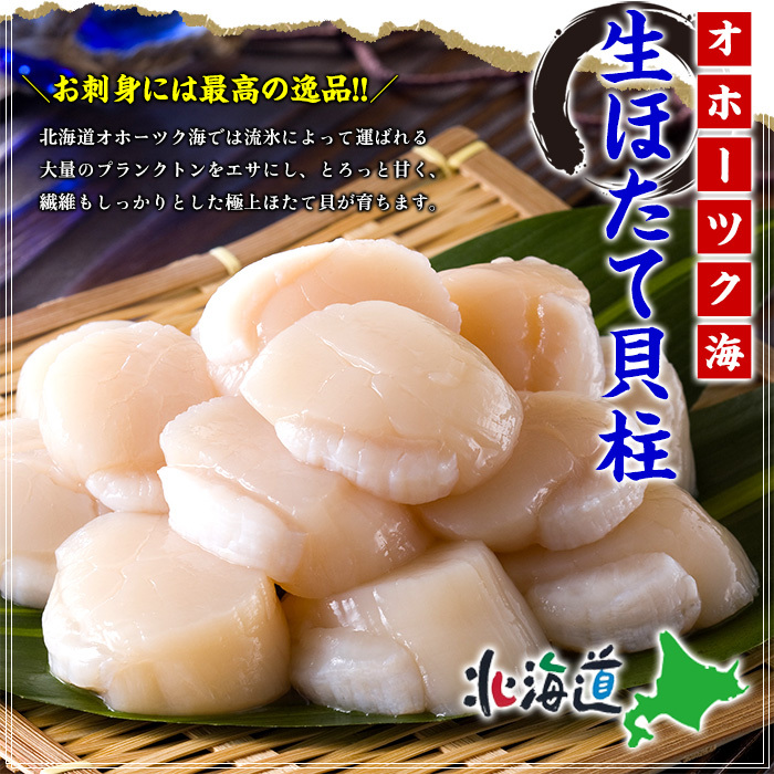 28-49 【甲羅組】ほたて貝柱 中型サイズ 1kg北海道紋別市28000魚介・海産物貝類