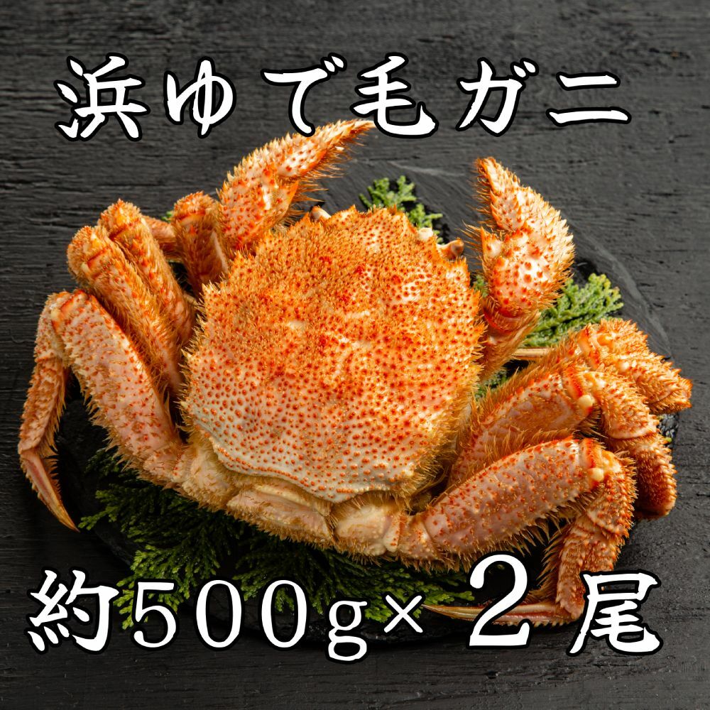44-37 XlŖуKj500g×2kCʎs44000ECYJj