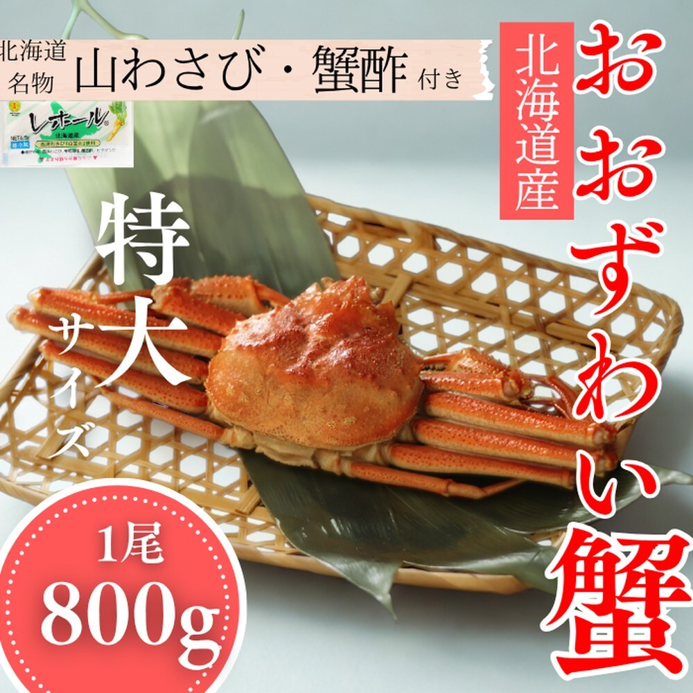 20-290 【北海道産】特大サイズ オオズワイガニ姿 800g以上1尾 | 蟹酢・山わさび付 かに おおずわいがに北海道紋別市20000魚介・海産物カニ