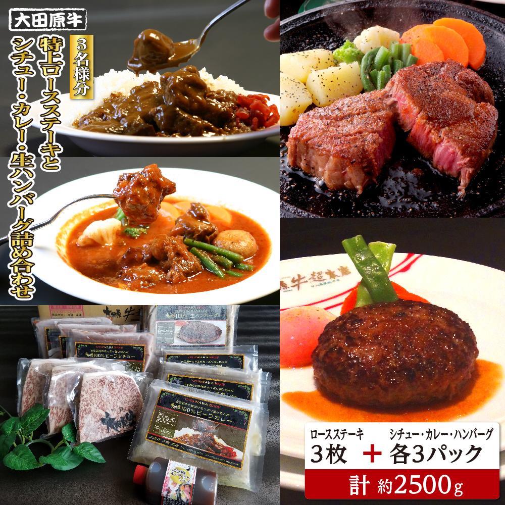 【3名様分】 大田原牛 特上ロース ステーキ 3枚とシチュー・カレー・生ハンバーグ各3パックの詰め合わせ | ブランド牛 和牛 牛肉  高級 ロース ステーキ ハンバーグ カレーライス ビーフシ