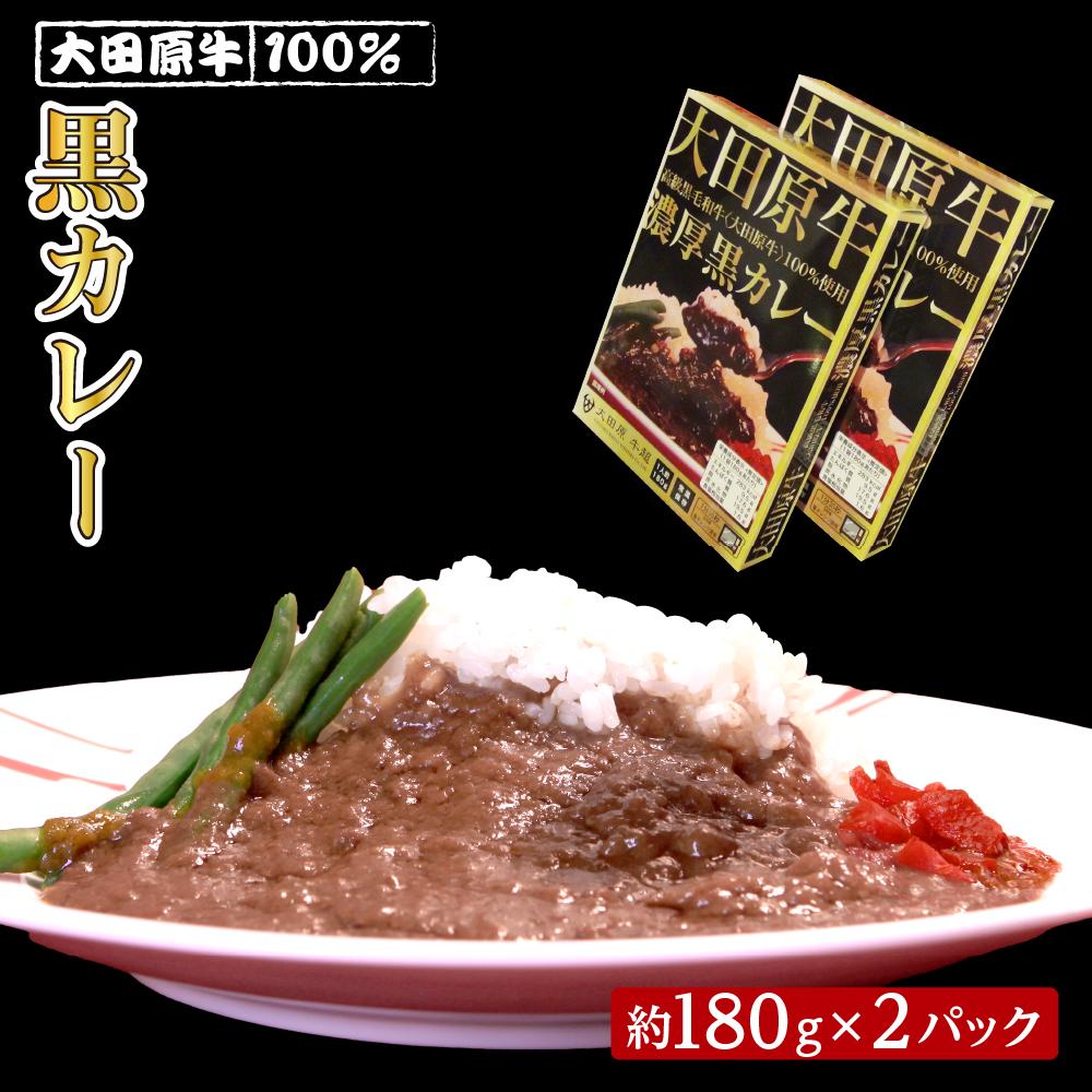 大田原牛 100% 黒カレー 2パックセット | レトルト カレー 和牛  牛肉 ビーフカレー 高級栃木県大田原市6000鍋セット・総菜・加工食品総菜