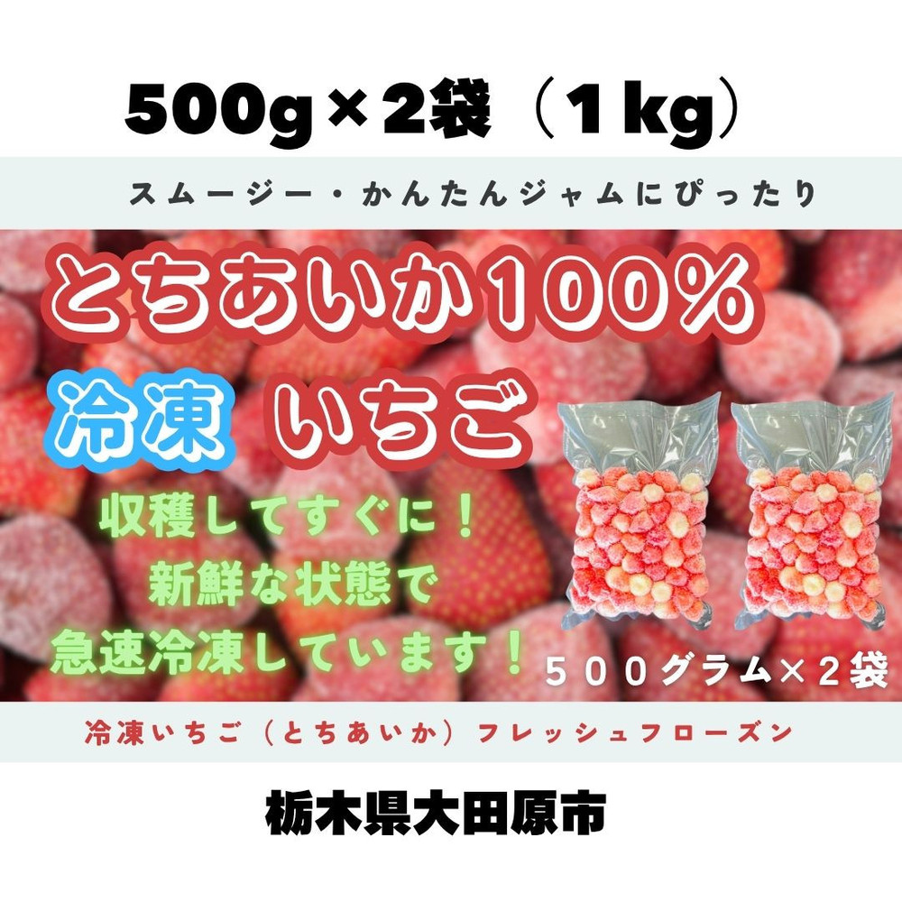【スムージー・かんたんジャムに最適】冷凍いちごとちあいかフレッシュフローズン(500g×2袋)栃木県大田原市10000果物・フルーツいちご