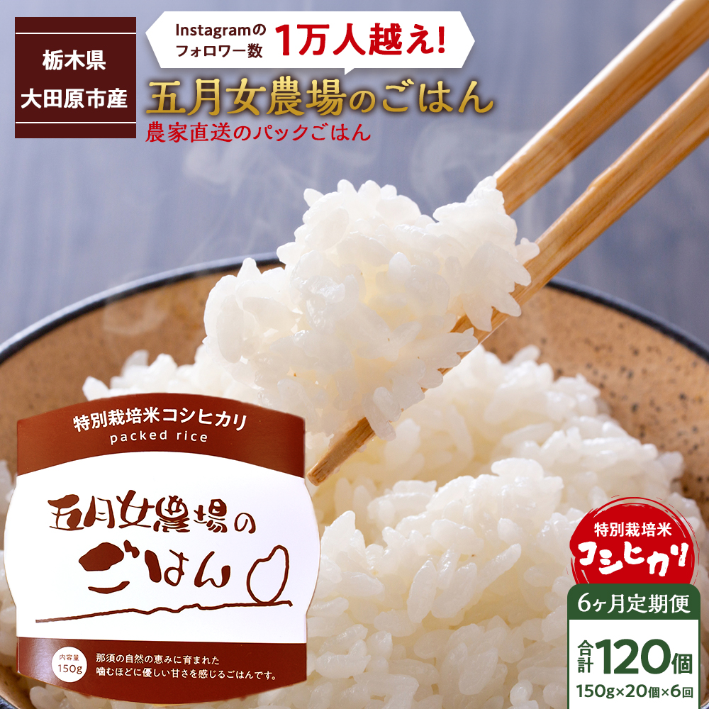 �y6��������ցz�_�ƒ����̃p�b�N���͂񁙌܌����_��̂��͂�i150��×20�j�Ȗ،���c���s120000�āE�p������