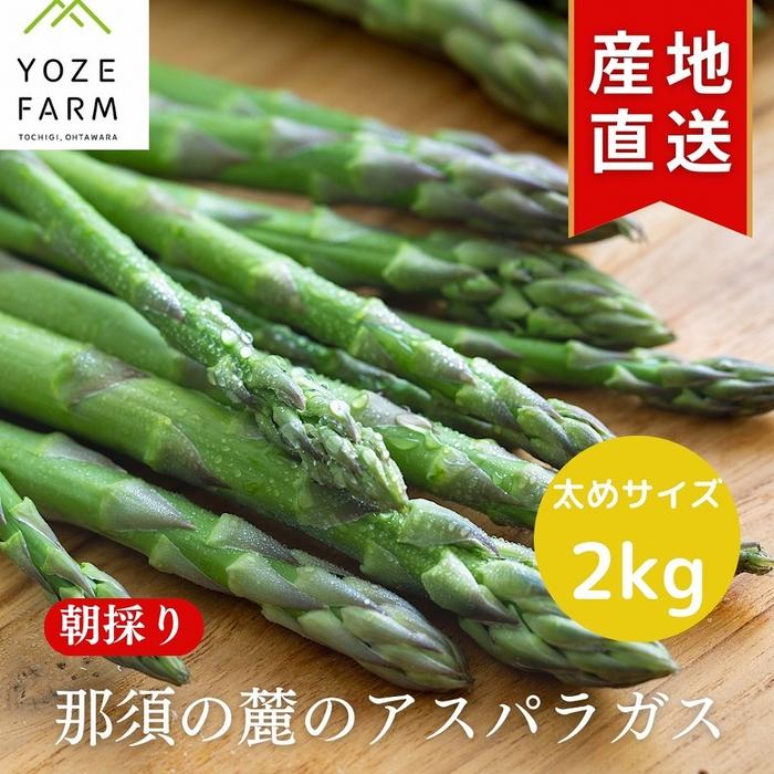 【2025年4月発送】那須の麓の朝採りアスパラガス 太めサイズ 2kg栃木県大田原市24000野菜・きのこその他 野菜