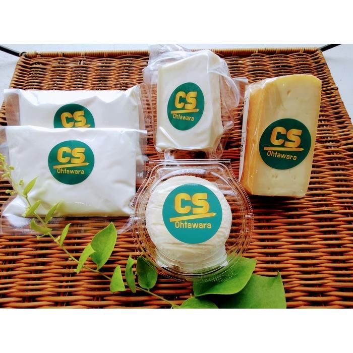 大田原チーズセット チーズ 詰め合わせ セット おつまみ フレッシュチーズ 料理栃木県大田原市11000卵・乳製品チーズ