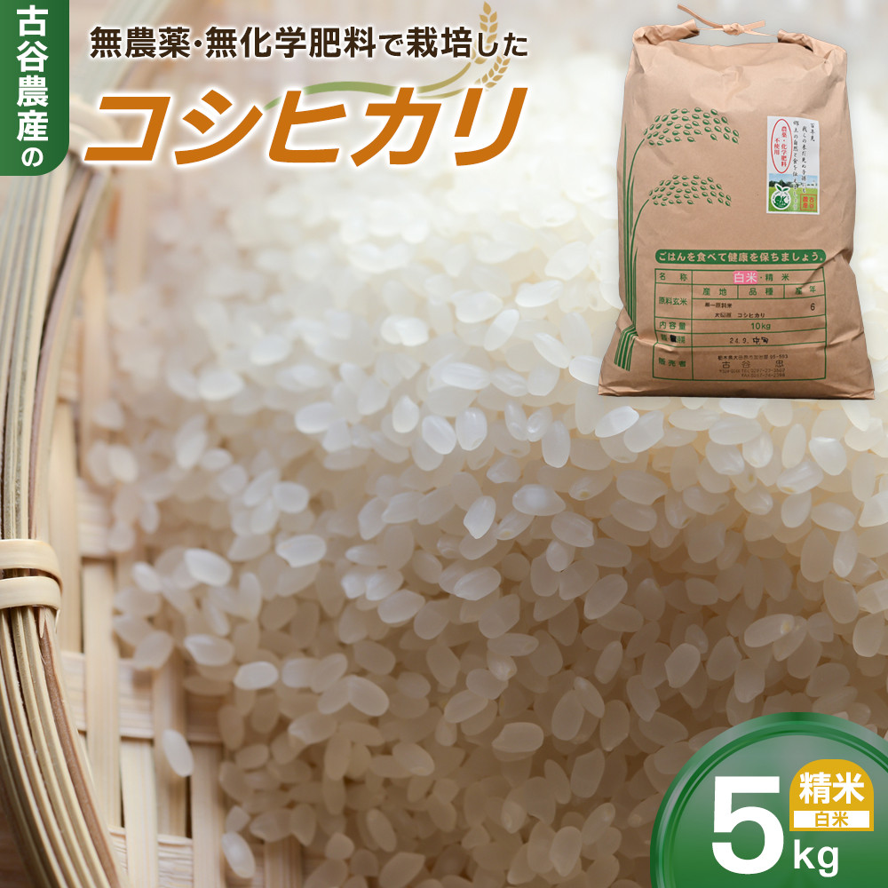 【令和7年産米 先行予約・数量限定】古谷農産の無農薬・無化学肥料で栽培したコシヒカリ(精米5キロ) |米 コメ 新米 白米 5kg コシヒカリ こしひかり 農家直送 産地直送 産直栃木県大田