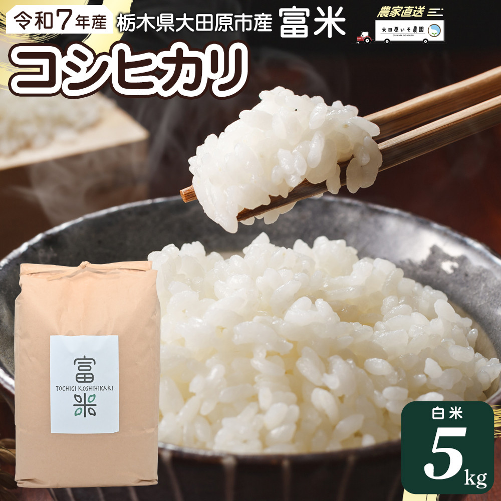≪2025年10月中旬以降発送≫ 令和7年産 栃木県大田原市産コシヒカリ「富米」 白米 5キロ |米 お米 新米 コメ こしひかり 5kg栃木県大田原市13000米・パン白米