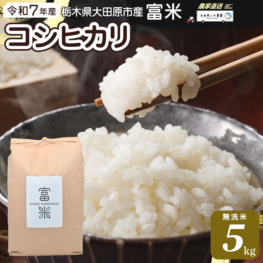 【先行予約】≪10月中旬以降発送≫令和7年産 栃木県大田原市産コシヒカリ「富米」 無洗米 5キロ |米 お米 新米 無洗米 コメ こしひかり 5kg栃木県大田原市13000米・パン白米