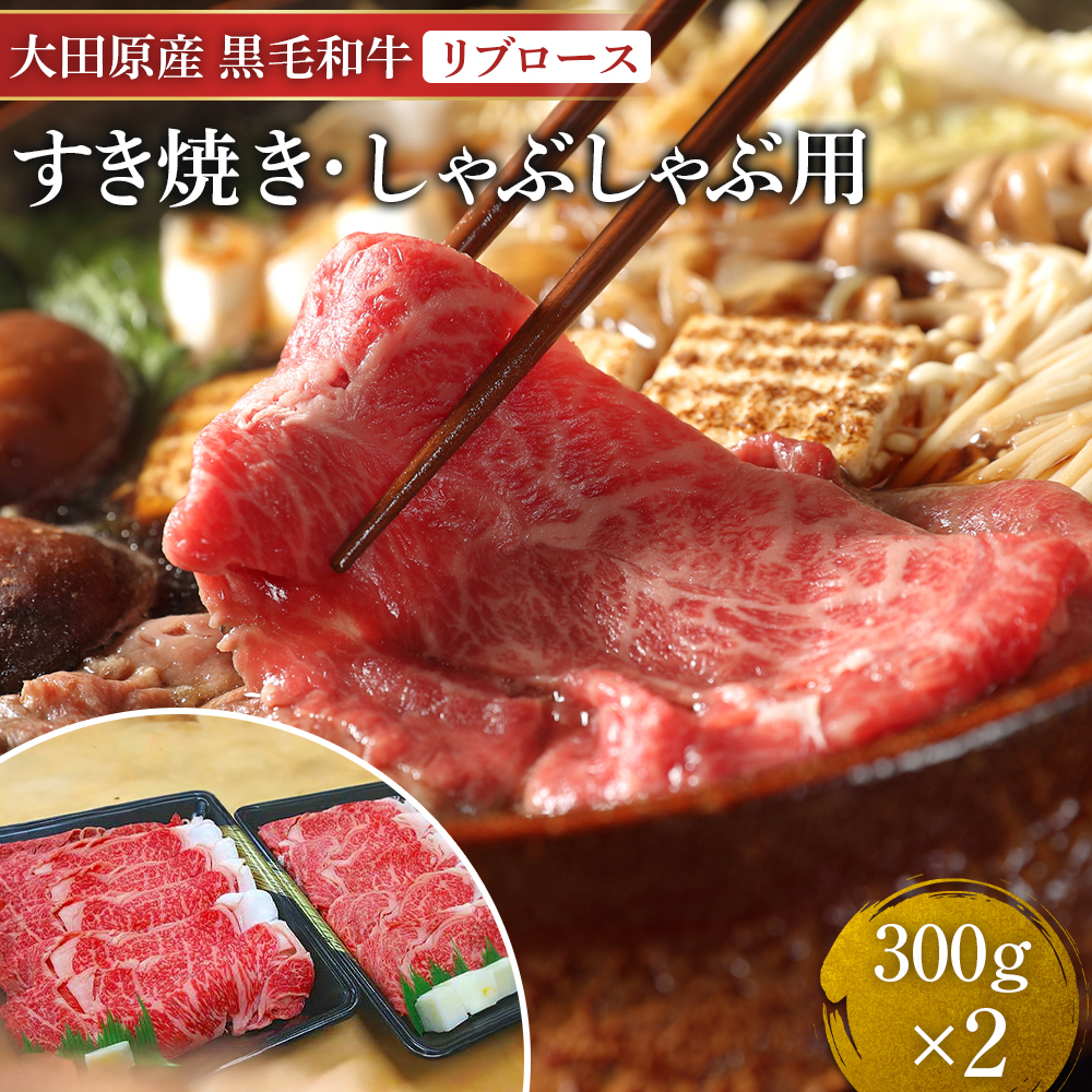 大田原産黒毛和牛 リブロースすき焼き・しゃぶしゃぶ用 300g×2栃木県大田原市43000肉牛肉