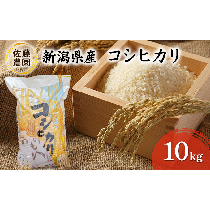 新潟県産 コシヒカリ【佐藤農園】10kg お米 新潟県田上町23000米・パン白米