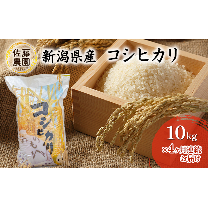 【新米先行予約受付開始】新潟県産 コシヒカリ【佐藤農園】10kg×4ヶ月連続お届け お米 新潟県田上町86000米・パン白米