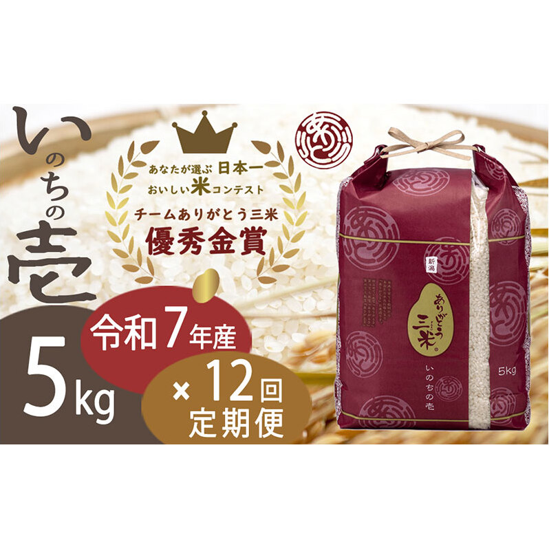 【令和7年】【定期便】5kg×12回 新潟産いのちの壱コンテスト受賞者の米 新潟県 田上町新潟県田上町262000米・パン白米