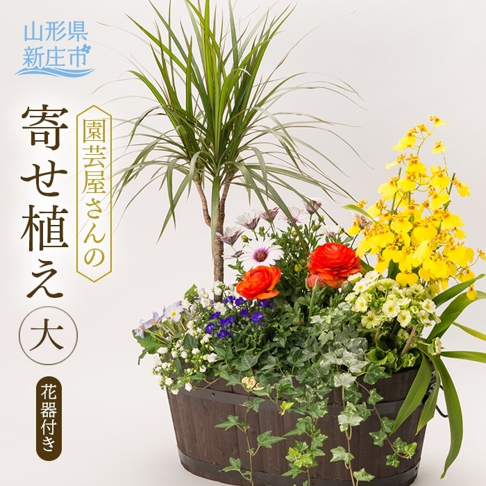園芸屋さんの寄せ植え大 F3S-0591山形県新庄市24000肉牛肉