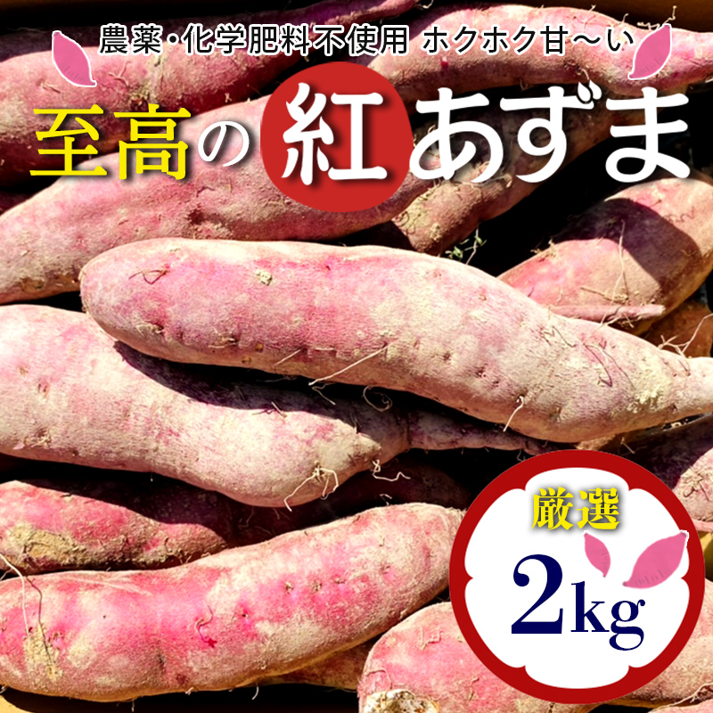 紅あずま苗 6本 無農薬 ほめ