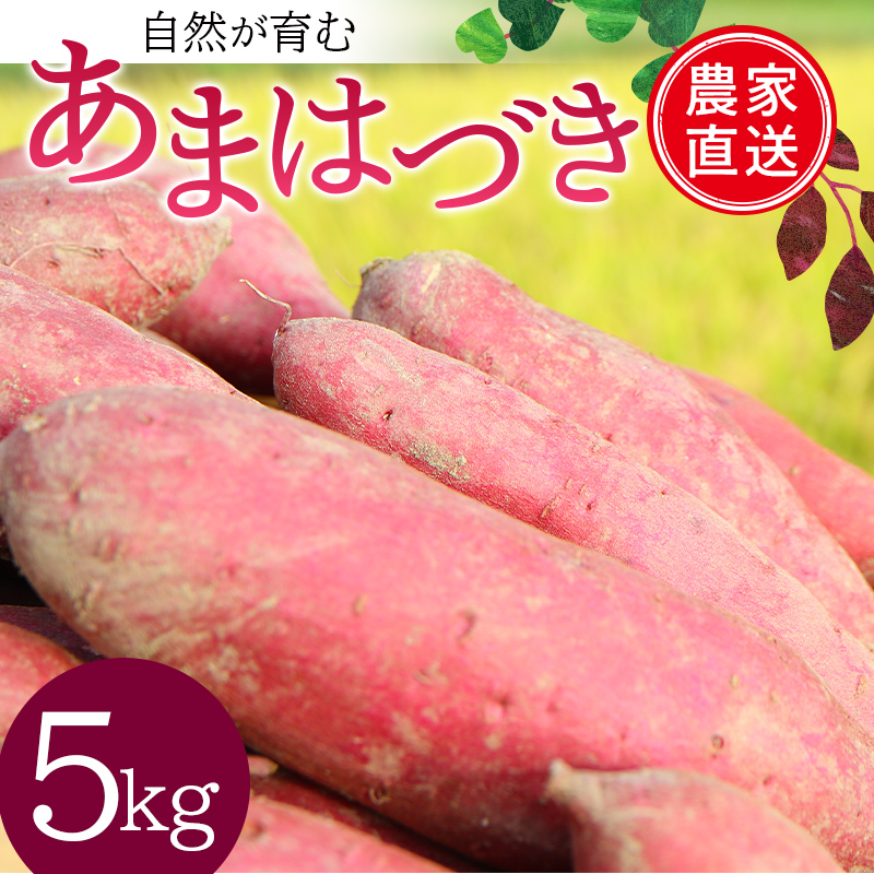 自然が育む『あまはづき』5kg さつまいも サツマイモ 芋 F3S-1997山形県新庄市13000野菜・きのこじゃがいも・イモ類