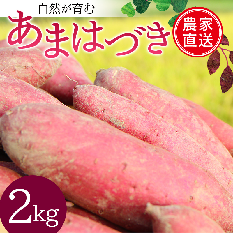 自然が育む『あまはづき』2kg さつまいも サツマイモ 芋 F3S-1998山形県新庄市8000野菜・きのこじゃがいも・イモ類