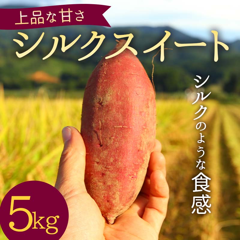 上品な甘さの【シルクスイート】5kg (栽培期間中、農薬、化学肥料不使用) さつまいも サツマイモ 芋 F3S-1999山形県新庄市12000野菜・きのこ