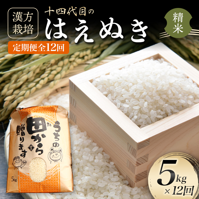ヤマダモール | 新米 米 10kg 山形県産 はえぬき 5kg×2袋 令和6