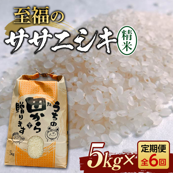 定期便 【先行予約】令和6年産 至福のササニシキ(精米)5kg×6回 米 お米 おこめ 山形県 新庄市 F3S-2153山形県新庄市60000米・パン白米