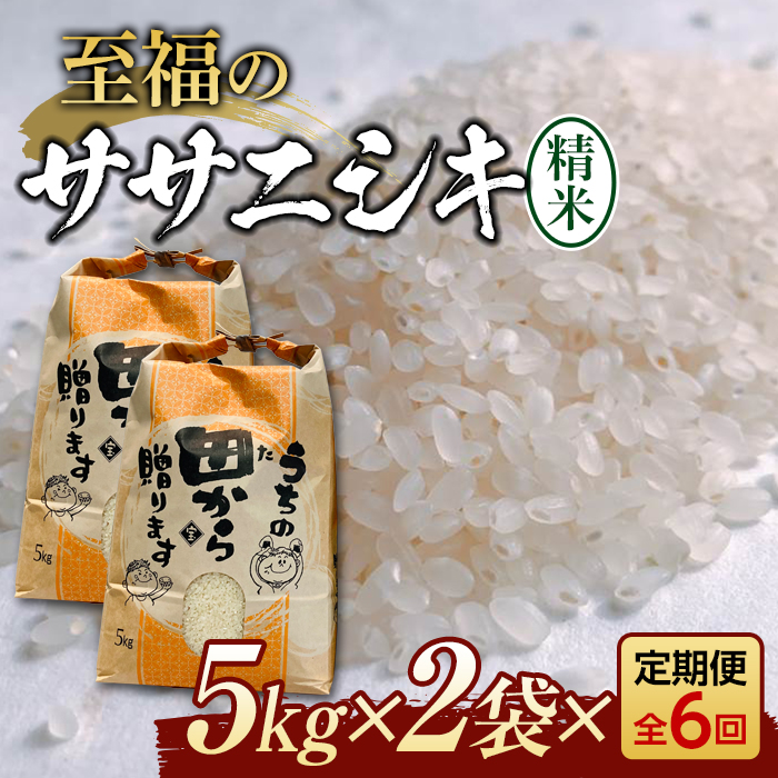  ys\zߘa6NY ̃TTjVLiāj10kgi5kg×2j×6    R` Vs F3S-2157R`Vs107000āEp