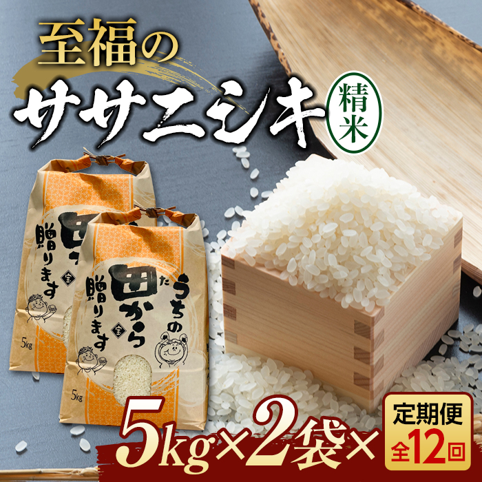 定期便 【先行予約】令和6年産 至福のササニシキ(精米)10kg(5kg×2)×12回 米 お米 おこめ 山形県 新庄市 F3S-2158山形県新庄市213000米・パン白米