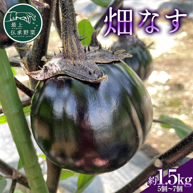 ŏ`؁uȂv1.5kg Ȃ iX ֎q  Ȃ Ė F3S-2197R`Vs7000؁Ê̑ 