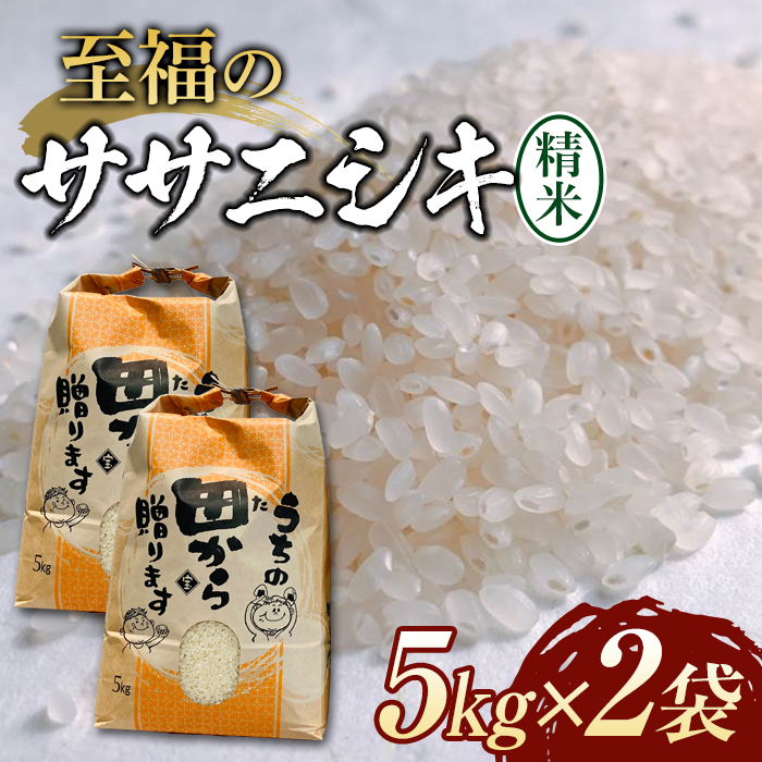 【先行予約】 令和6年産 至福のササニシキ(精米) 10kg(5kg×2) 米 お米 おこめ 山形県 新庄市 F3S-2207山形県新庄市17000米・パン白米