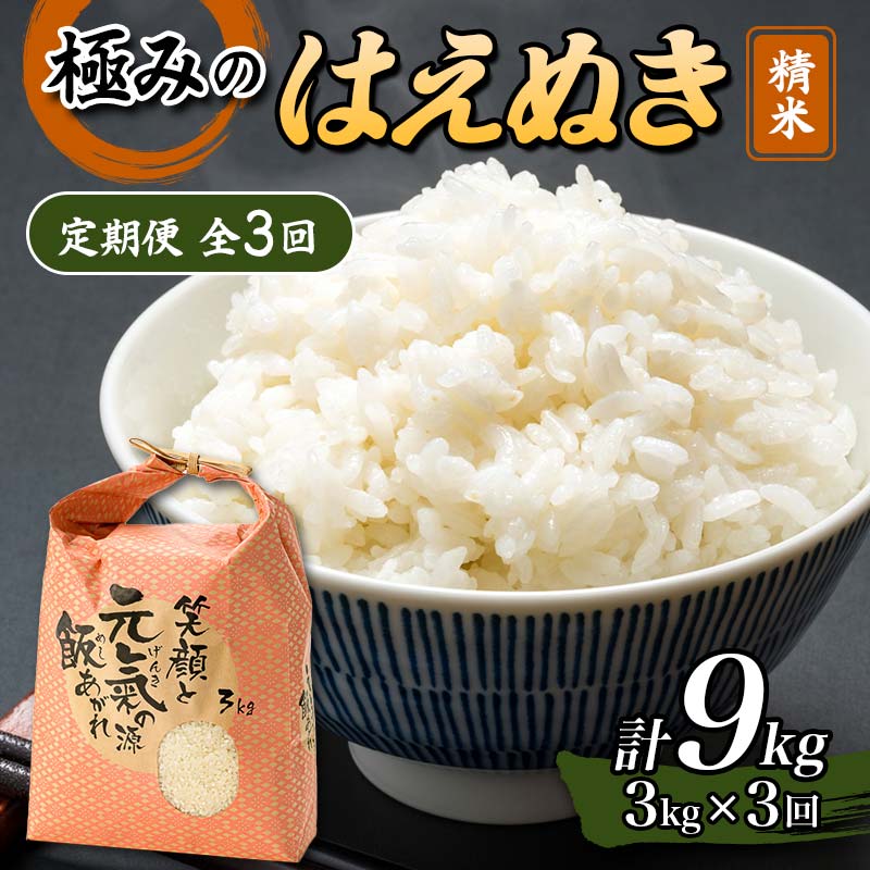 定期便 全3回 極みのはえぬき(精米)3kg 米 お米 おこめ ふるさと納税 山形県 新庄市 F3S-2390山形県新庄市36000米・パン白米