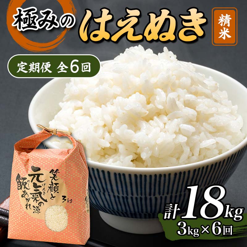 定期便 全6回 極みのはえぬき(精米)3kg 米 お米 おこめ ふるさと納税 山形県 新庄市 F3S-2391山形県新庄市72000米・パン白米