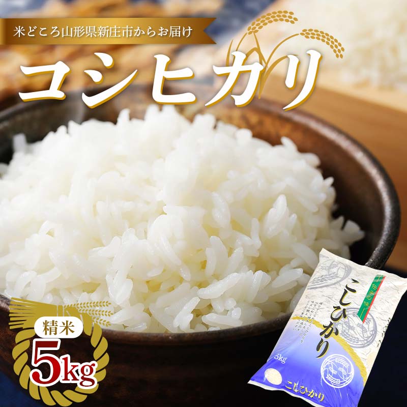 新庄産米 コシヒカリ 精米 5kg お米 コメ F3S-2404山形県新庄市21000米・パン白米