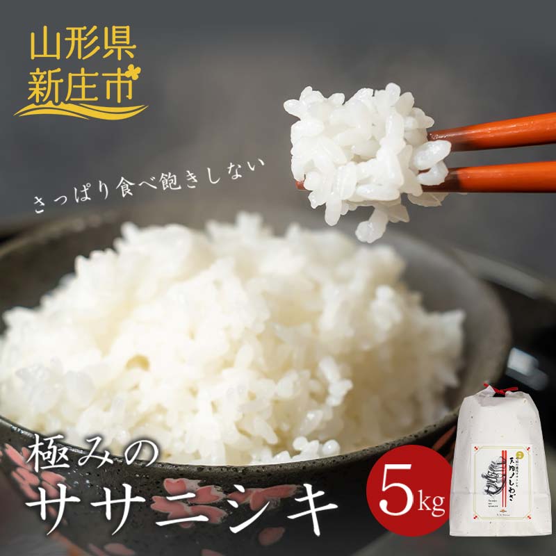 極みのササニシキ(精米) 5kg 米 お米 おこめ 山形県 新庄市 F3S-2431山形県新庄市19000米・パン白米