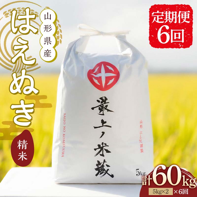 令和7年産 <定期便 6回> 山形県産 はえぬき 精米 10kg (5kg×2)【最上ノ米蔵】 F3S-2489山形県新庄市230000米・パン白米