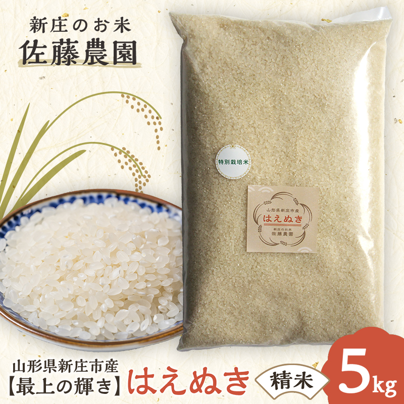【最上の輝き】はえぬき 精米 5kg 米 お米 おこめ 山形県 新庄市 F3S-2534山形県新庄市14000米・パン白米