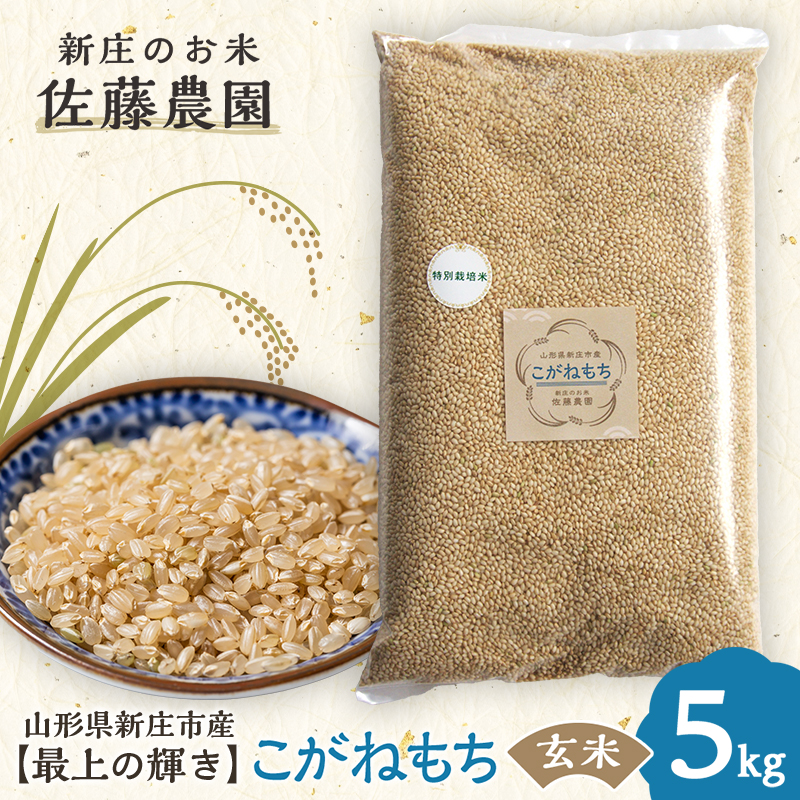 特別栽培米【最上の輝き】こがねもち 玄米 5kg 米 お米 おこめ 山形県 新庄市 F3S-2535山形県新庄市15000米・パン玄米・雑穀米・もち米・餅