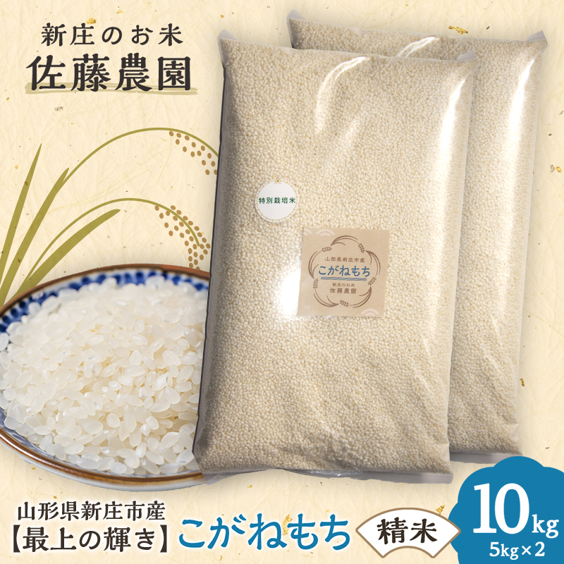 特別栽培米【最上の輝き】こがねもち 精米 5kg×2袋 米 お米 おこめ 山形県 新庄市 F3S-2539山形県新庄市25000米・パン白米