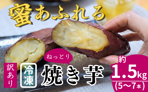 󂠂聄_ƎƐ  ӂ g͂邩 ⓀĂ 5`7{ (1.5kg)ʌk{s9000؁ÊႪEC